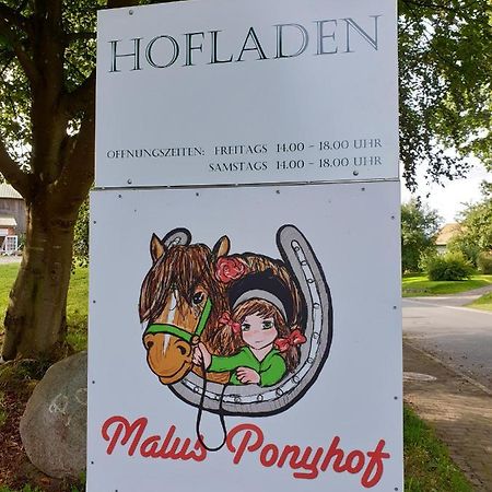 Todenbuettel Malus Ponyhof 빌라 외부 사진