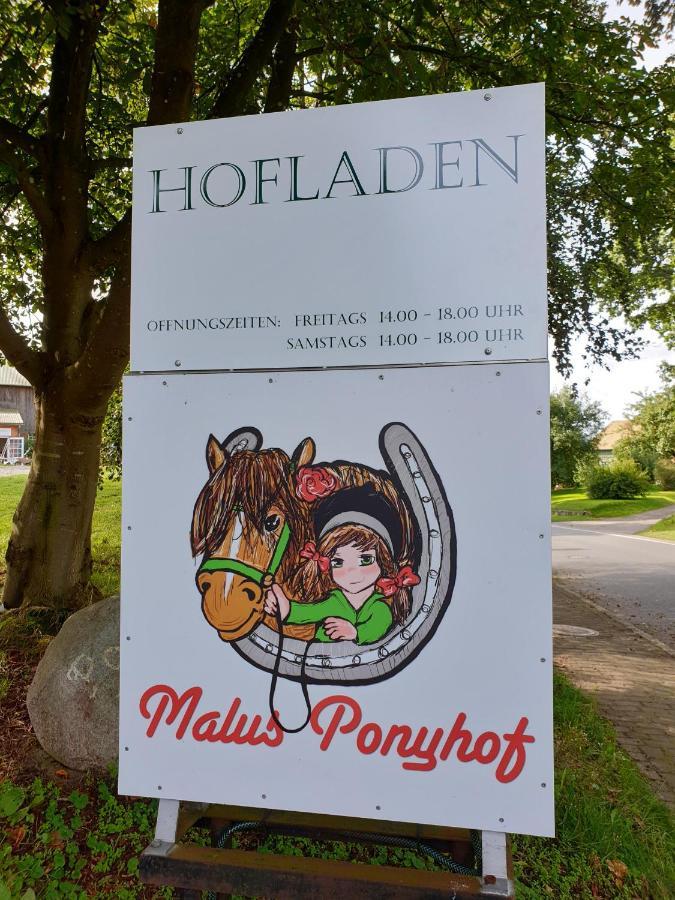 Todenbuettel Malus Ponyhof 빌라 외부 사진